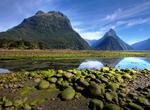 Explore Fiordland National Park (Milford Sound), New Zealand (UNESCO site)