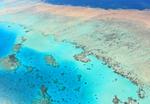 Dive the Great Barrier Reef, Australia (UNESCO site)