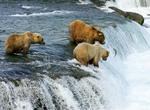 Visit All 59 US National Parks