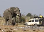 Top 10 African Safari Parks