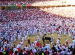 Attend Running of the Bulls, Pamplona, Spain