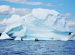 See icebergs in "Iceberg Alley," St. Anthony, Newfoundland, Canada