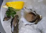 Eat Oyster's