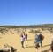 Pinnacles Desert, Koalas and Sandboarding 4WD Day Tour from Perth
