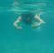 Xel-Ha All Inclusive Day Trip from Cancun