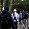 Blue Mountain Small-Group Day Hikes from Sydney