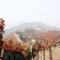 Private Tour: Great Wall of China at Juyongguan and Ming Tombs from Beijing