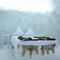 http://www.icehotelromania.com/romania/index.html
