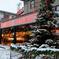 Brews and Bulbs: Seattle Breweries and Christmas Lights Tour