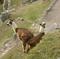 Machu Picchu Day Trip from Cusco
