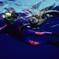 Turtle Reef Kayak Tour
