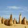 Pinnacles Desert, New Norcia and Wildflowers Day Tour from Perth