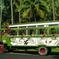 Bora Bora Circle Island Le Truck Tour