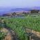Seattle Shore Excursion: Small-Group Outdoor Adventure and Wine-Tasting Tour
