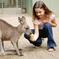 3-Day Blue Mountains and Hunter Valley Small-Group Eco-Tour