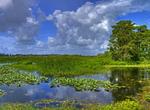 Explore Everglades National Park, Florida (UNESCO site)